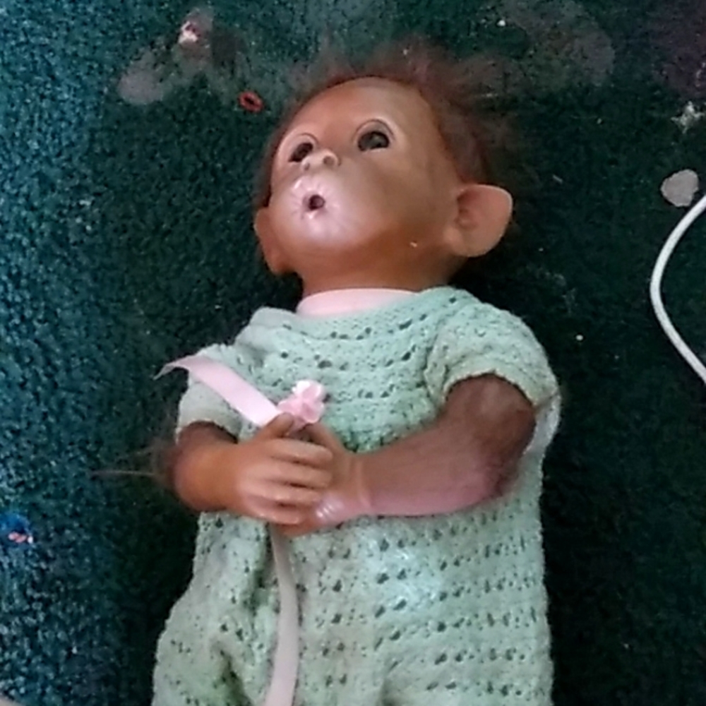 Reborn doll